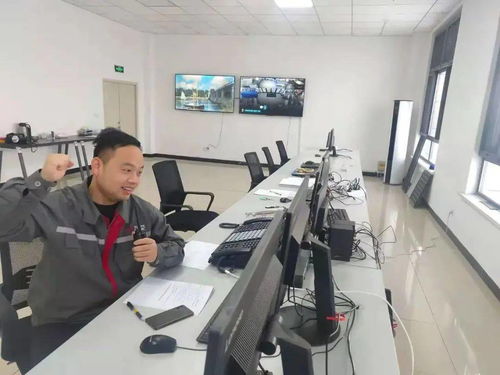 驕傲 丨中國(guó)中車(chē)首個(gè)風(fēng)電場(chǎng)一次送電成功 技術(shù)開(kāi)發(fā)及技術(shù)服務(wù)